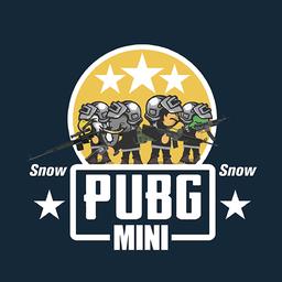  PUBG Mini Snow Multiplayer